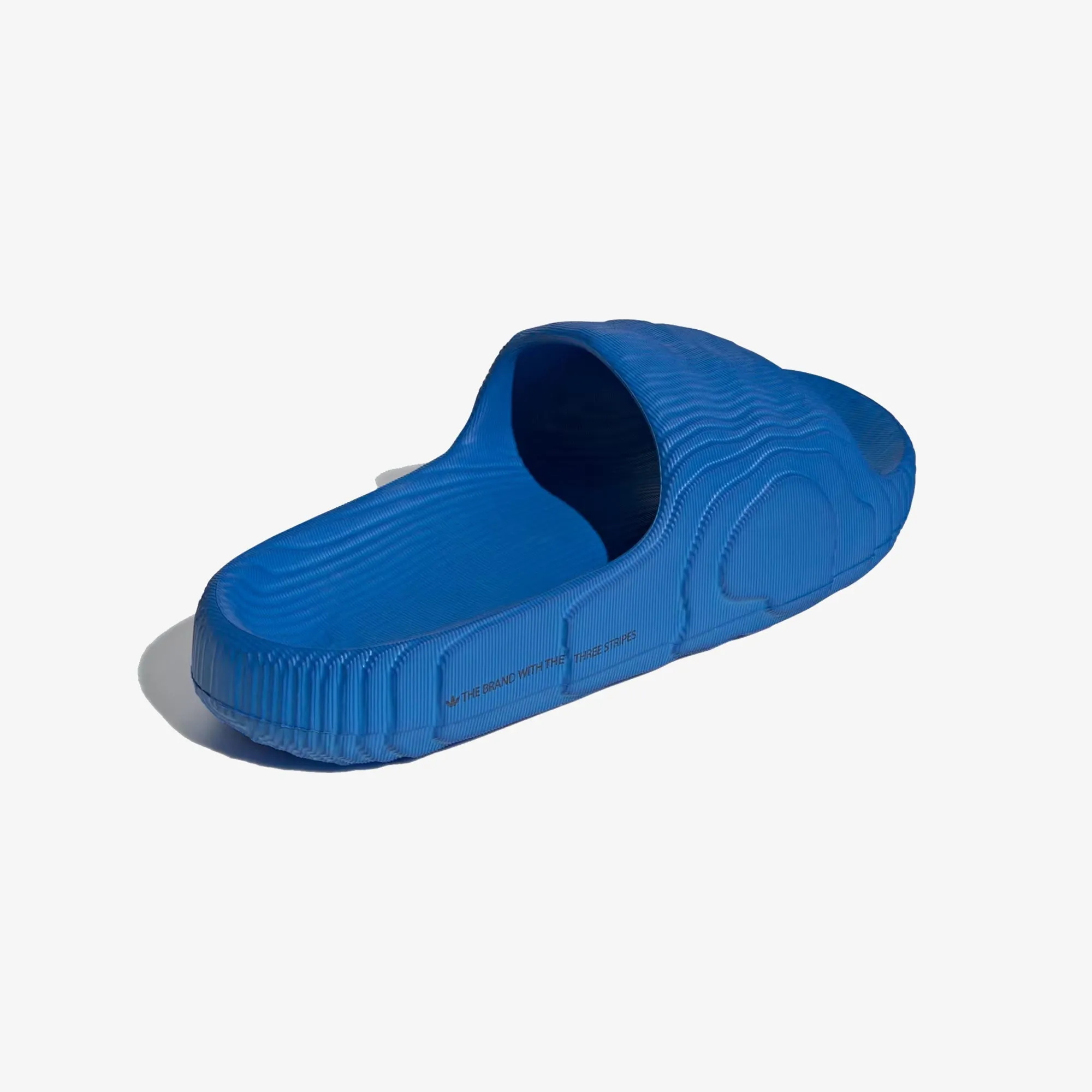 Adidas Originals | ADILETTE 22  { BLUE BIRD/BLUE BIRD