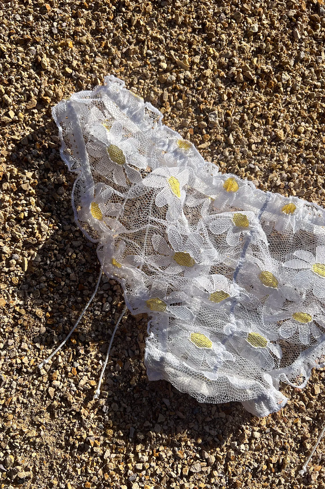 BACK IN STOCK! Anaphora Panty in Sheer Upcycled Vintage Daisy Tulle Mesh