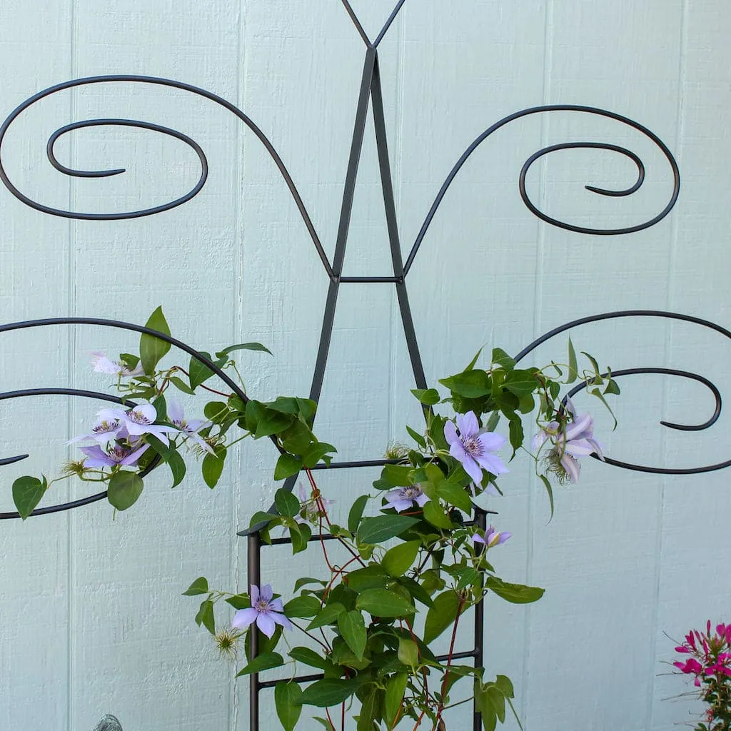 Butterfly Trellis by Achla Designs