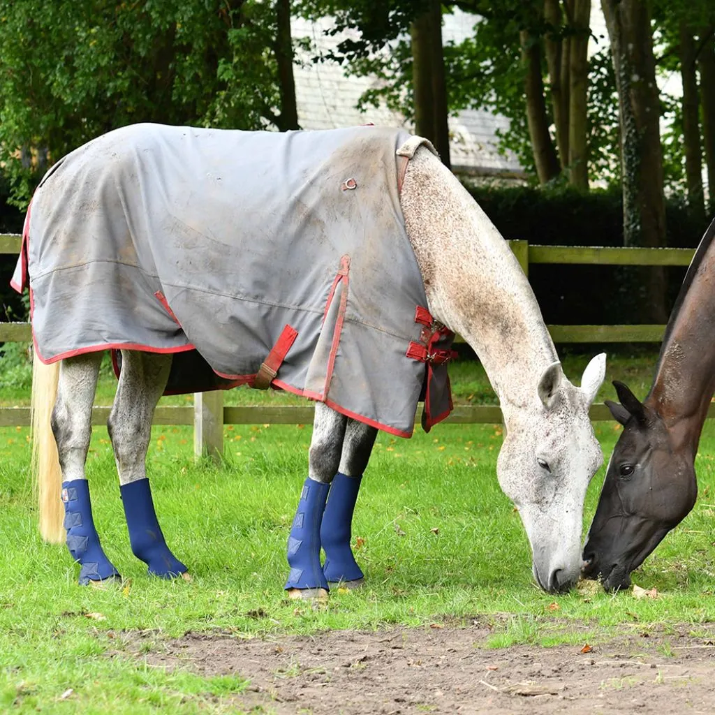 Equilibrium Equi Chaps Hardy Neoprene Paddock Wraps PAIR